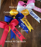 Custom Long Tail Cheer Bow with 1 name outlined and chevron tail.