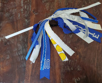 Softball Spirit Ribbons/Hair Streamers/Pony-O's with Name and Number