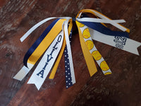 Softball Spirit Ribbons/Hair Streamers/Pony-O's with Name and Number