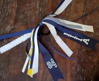 Softball Spirit Ribbons/Hair Streamers/Pony-O's with Name and Number