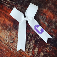 Long Tailed Hair Ribbon with Logo/Name on Tail